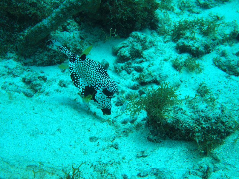 Curacao 04-12 121.JPG